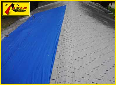 blue-tarp-roof-repair